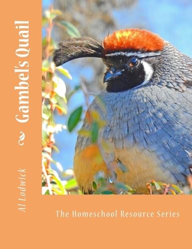 Gambel's Quail The Homeschool Resource Series
