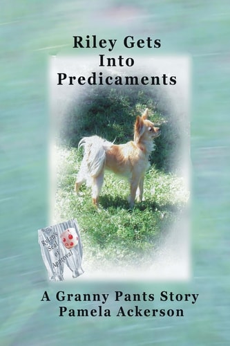 Riley Gets Into Predicaments A Granny Pants Story