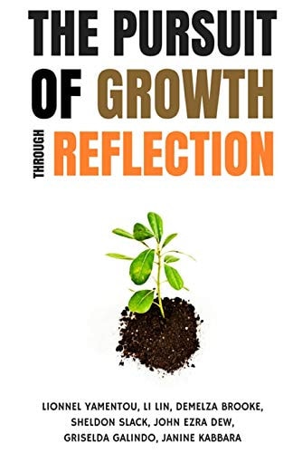 The Pursuit of Growth Through Reflection