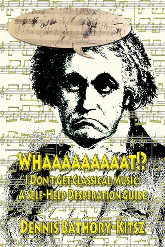 Whaaaaaaaaat!? I Don't Get Classical Music: A Self-Help Desperation Guide