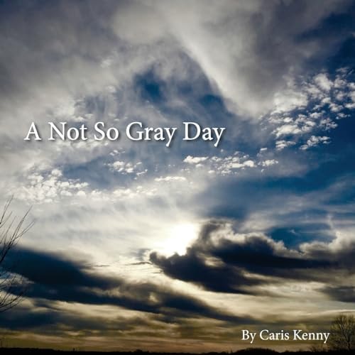 A Not So Gray Day
