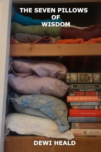 The Seven Pillows of Wisdom A Collection of Political, Economic, Social and Just Plan Bizarre Writings