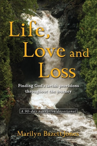 Life, Love and Loss Finding God's Lavish Provisions Throughout the Journey