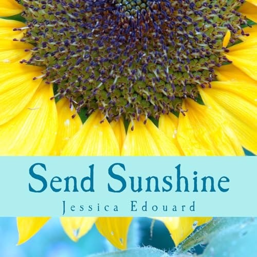 Send Sunshine For This, The Beginning