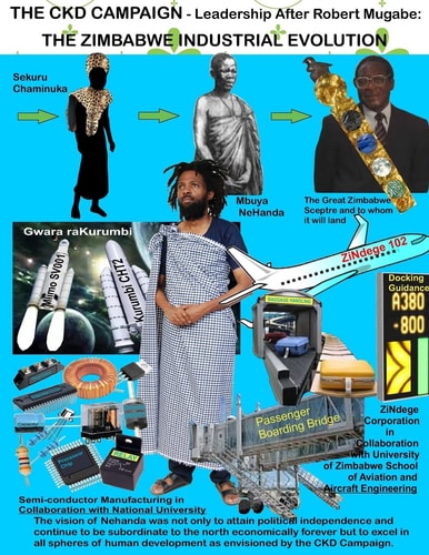 THE CKD CAMPAIGN - Leadership After Robert Mugabe The Zimbabwe Industrial Evolution