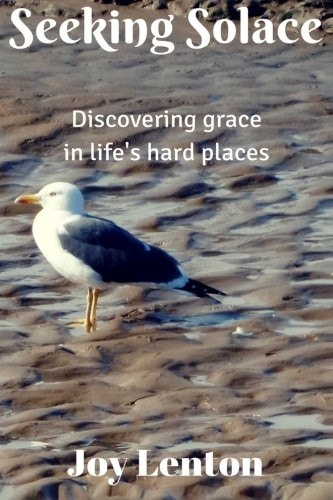 Seeking Solace Discovering Grace in Life's Hard Places