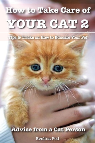 How to Take Care of Your Cat 2 Tips & Tricks on How to Educate Your Pet
