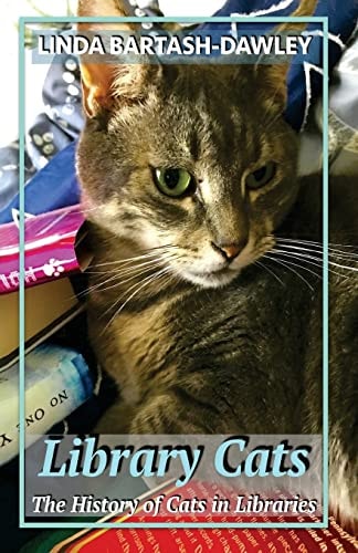 Library Cats The History of Cats in Libraries