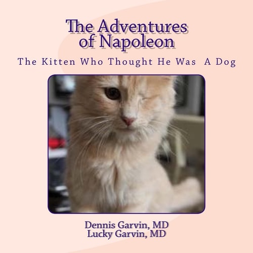 The Adventures of Napoleon The Kitten Who Thought He Was a Dog