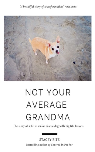 Not Your Average Grandma The Story of a Little Senior Rescue Dog with Big Life Lessons