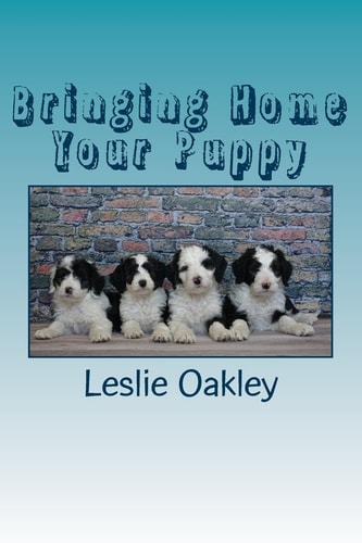 Bringing Home Your Puppy