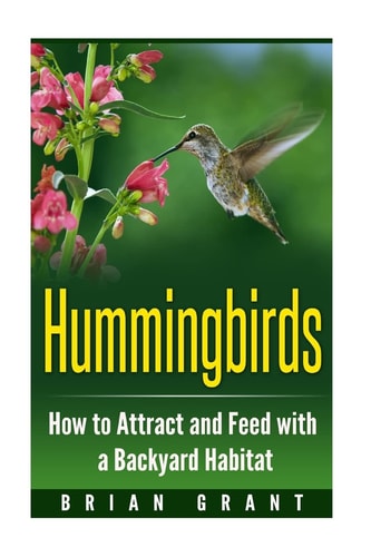 Hummingbirds How to Attract and Feed with a Backyard Habitat