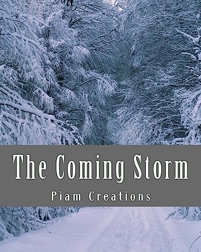 The Coming Storm Stockmarket Crash 2016-2018