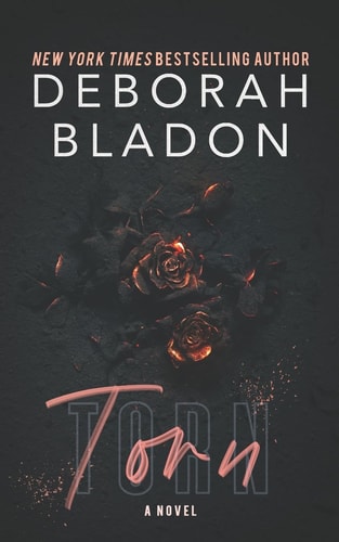 TORN - a Standalone Novel