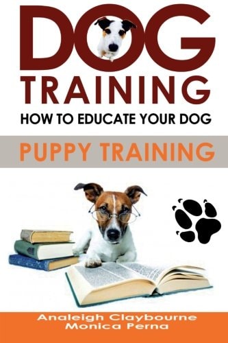 Dog Training How to Educate Your Dog