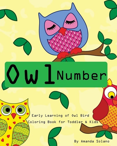 Toddler Color Books Owl Number Early Learning Kids: Fun First Numbers, Baby Activity Book for Kids Age 1-6, Boys Or Girls, Fun Early Learning of Owl Birds