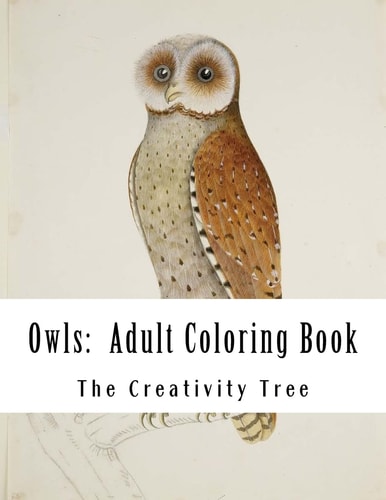 Owls Adult Coloring Book