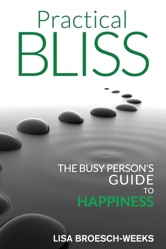 Practical Bliss The Busy Person's Guide to Happiness