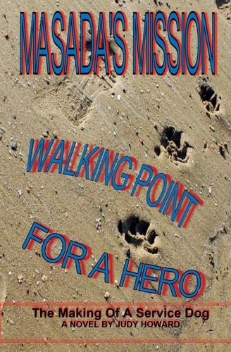 Masada's Mission Walking Point For A Hero