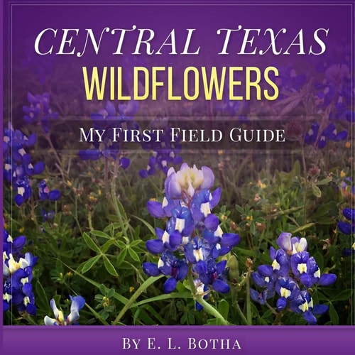 Central Texas Wildflowers A Baby's First Field Guide Book