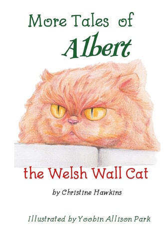 More Tales of Albert The Welsh Wall Cat