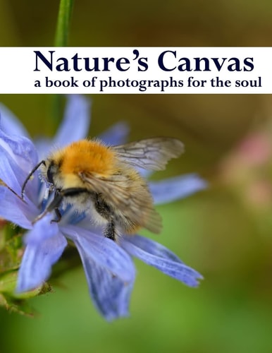 Nature's Canvas, a Book of Photographs for the Soul A Coffee Table Book of Photographs of Nature, Relaxing Images to Enjoy and Share