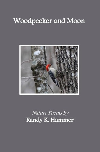 Woodpecker and Moon Nature Poems