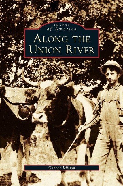Along the Union River