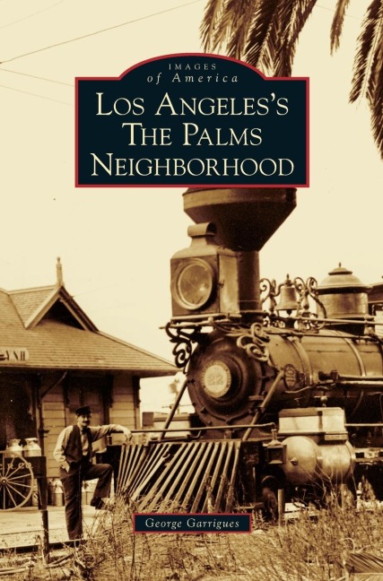 Los Angeless the Palms Neighborhood