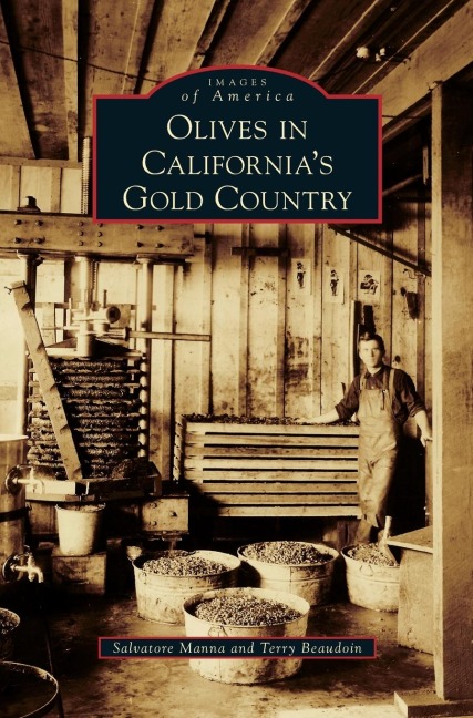 Olives in Californias Gold Country