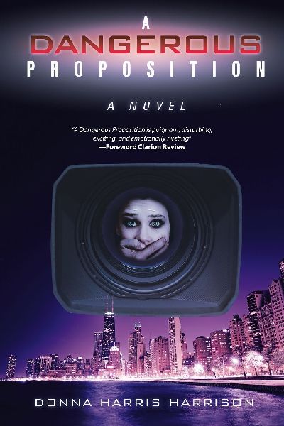 A Dangerous Proposition: A Novel