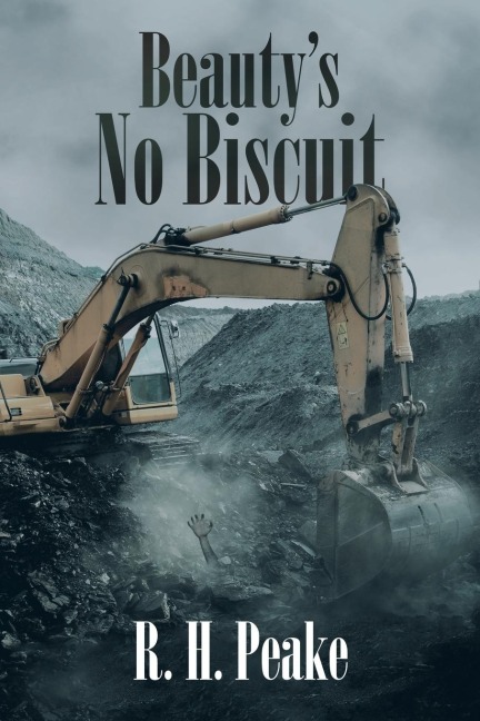 BeautyS No Biscuit