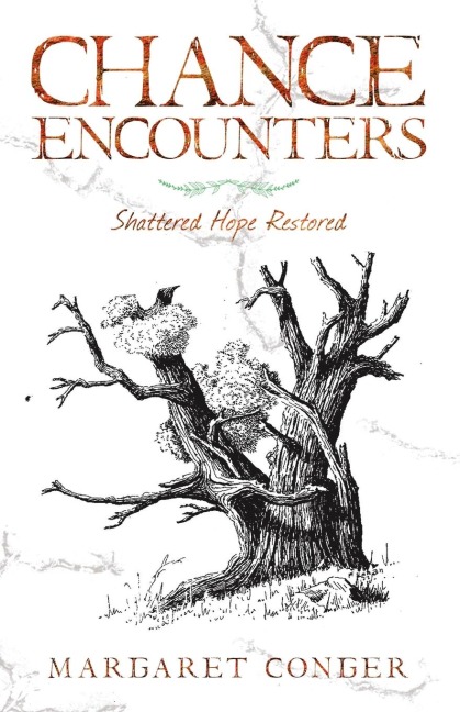 Chance Encounters: Shattered Hope Restored