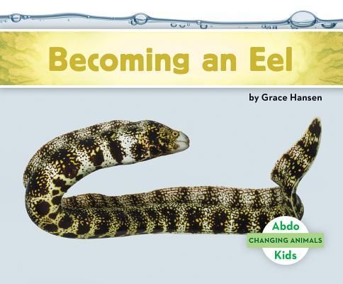 Becoming an Eel