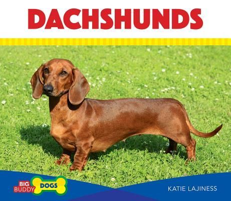 Dachshunds