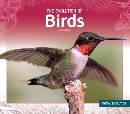 Evolution of Birds