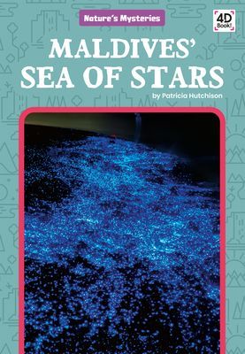 Maldives' Sea of Stars