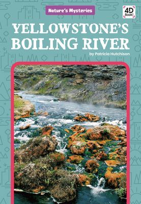 Yellowstone's Boiling River