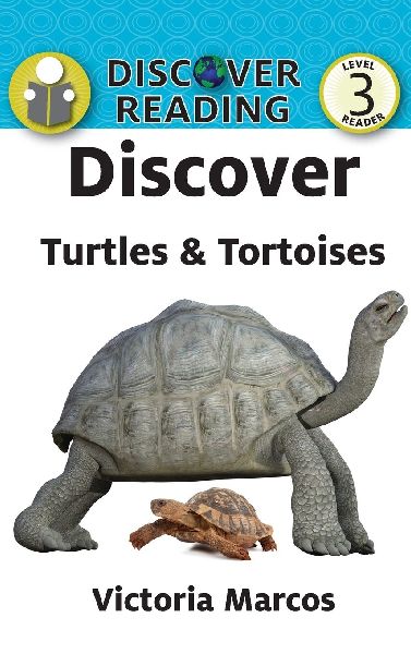 Discover Turtles & Tortoises