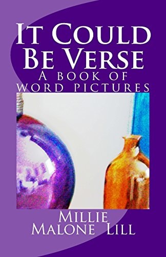 It Could Be Verse A Book of Word Pictures