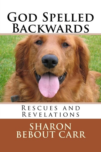 God Spelled Backwards Rescues and Revelations