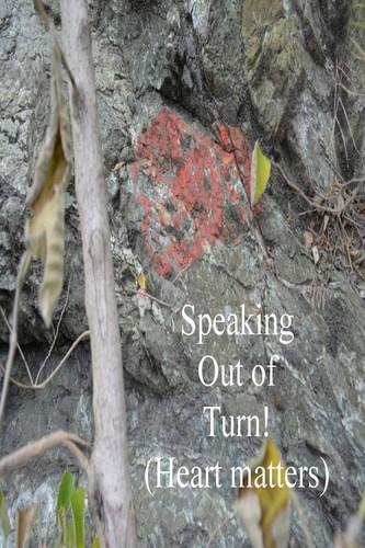 Speaking Out of Turn The Heart Matters