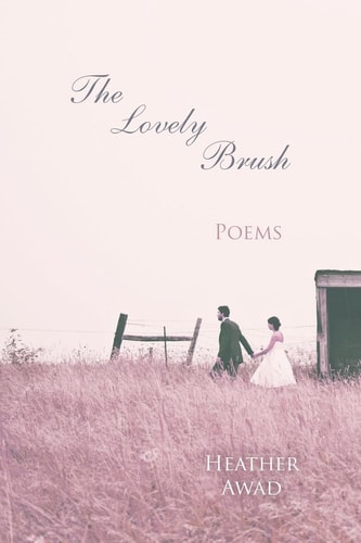 The Lovely Brush Poems
