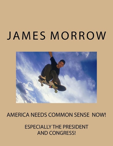 America Needs Common Sense Now Especially the President and Congress