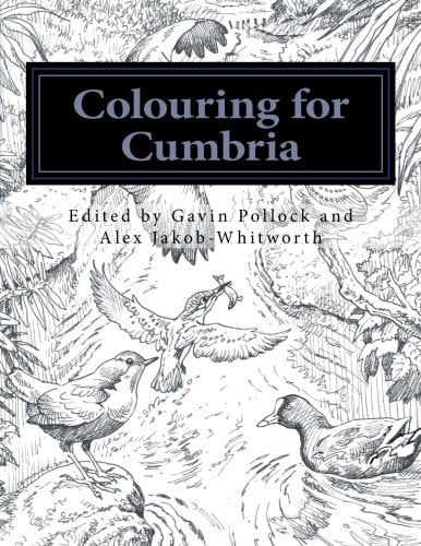 Colouring for Cumbria Raising Money for People Affected by the Floods in Cumbria and Northern England.