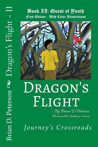 Dragon's Flight - II Quest of Youth - Fully Illustrated in Color
