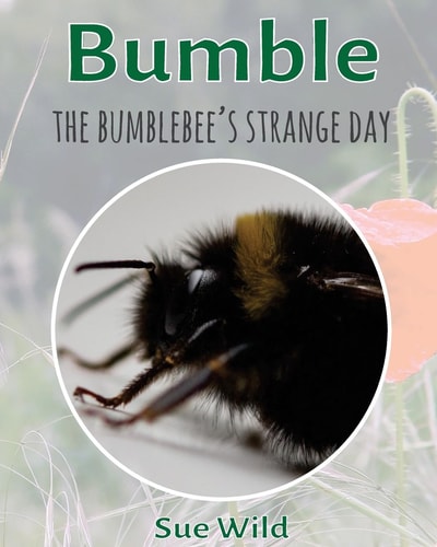 Bumble The Bumblebee's Strange Day