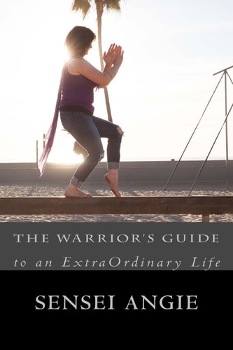 The Warrior's Guide To and ExtraOrdinary Life