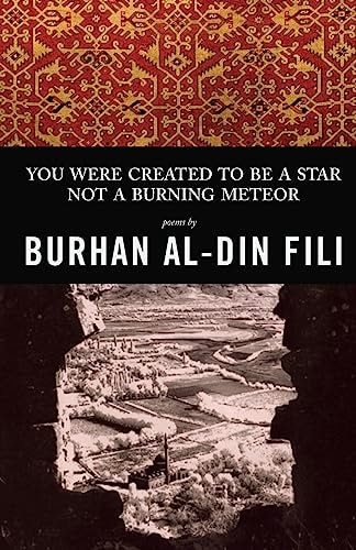 You Were Created to Be a Star Not a Burning Meteor Poems