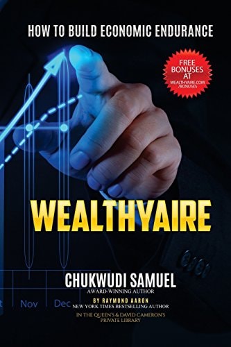Wealthyaire How to Build Economic Endurance